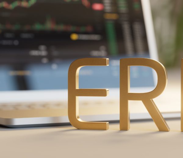Enterprise resource planning (ERP) Software as a Service